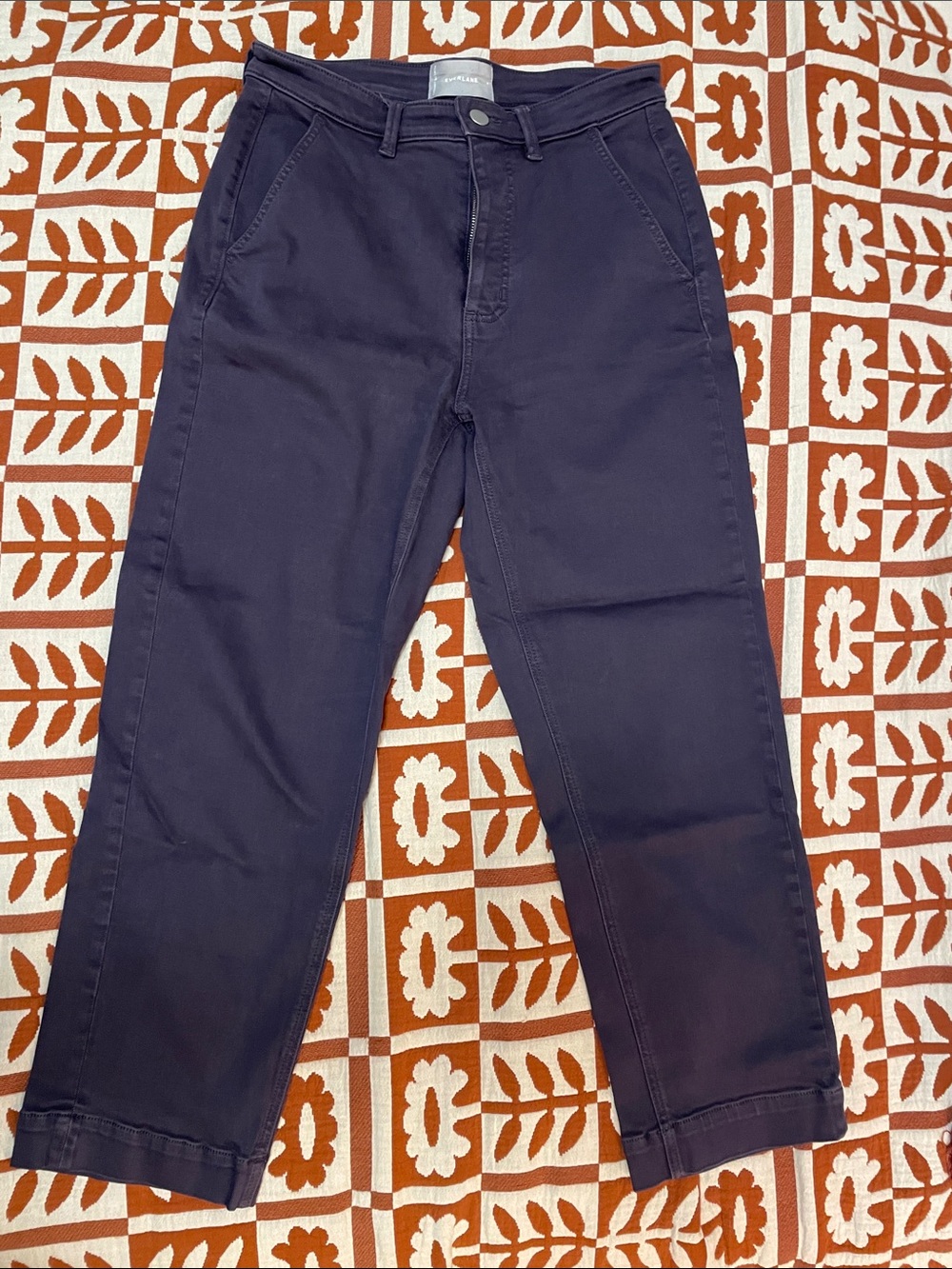 Everlane Straight-Leg Crop in Shadow (plum purple)